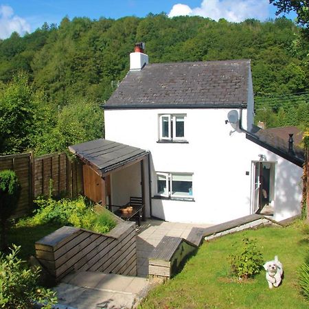 Peacock Cottage Cinderford Esterno foto