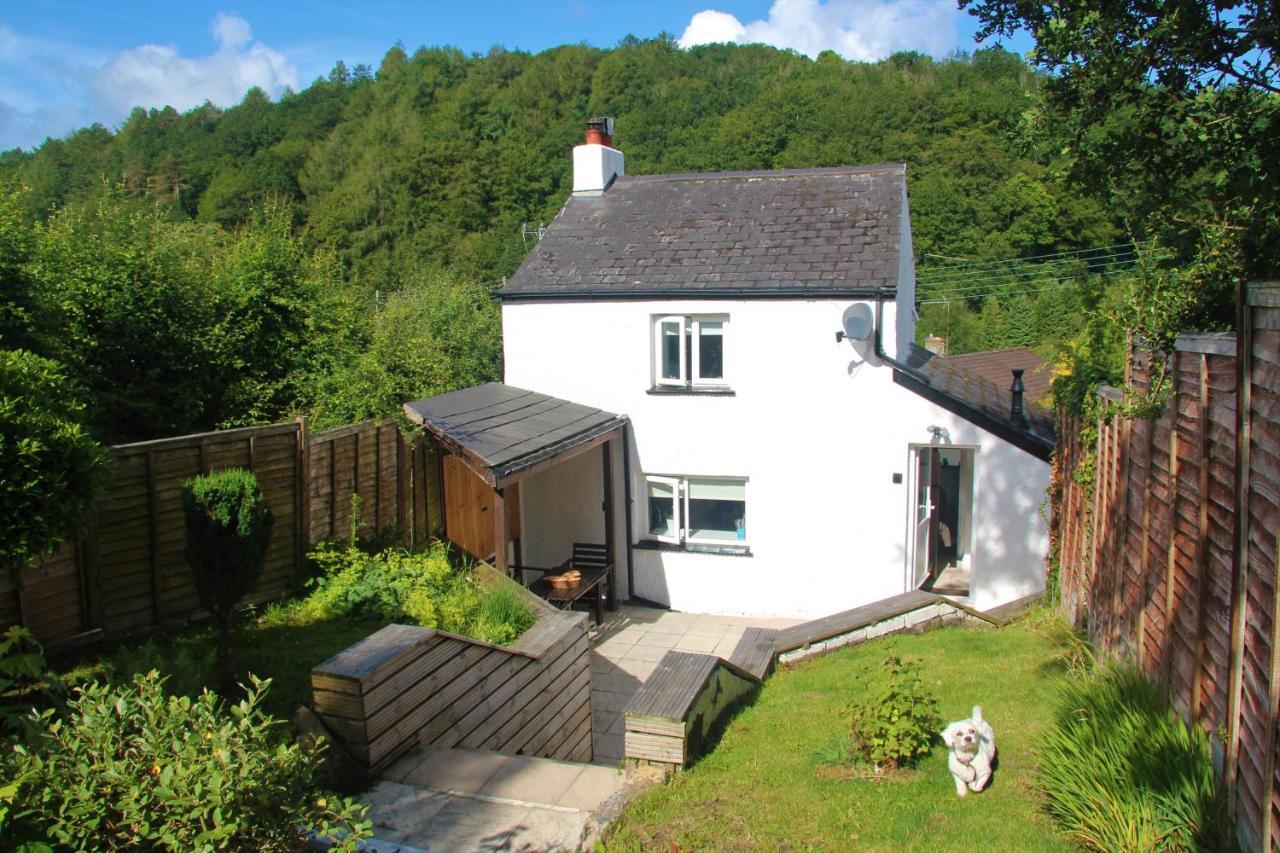 Peacock Cottage Cinderford Esterno foto
